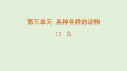2025年秋湘科版三年級科學(xué)上冊 13.鳥（課件）