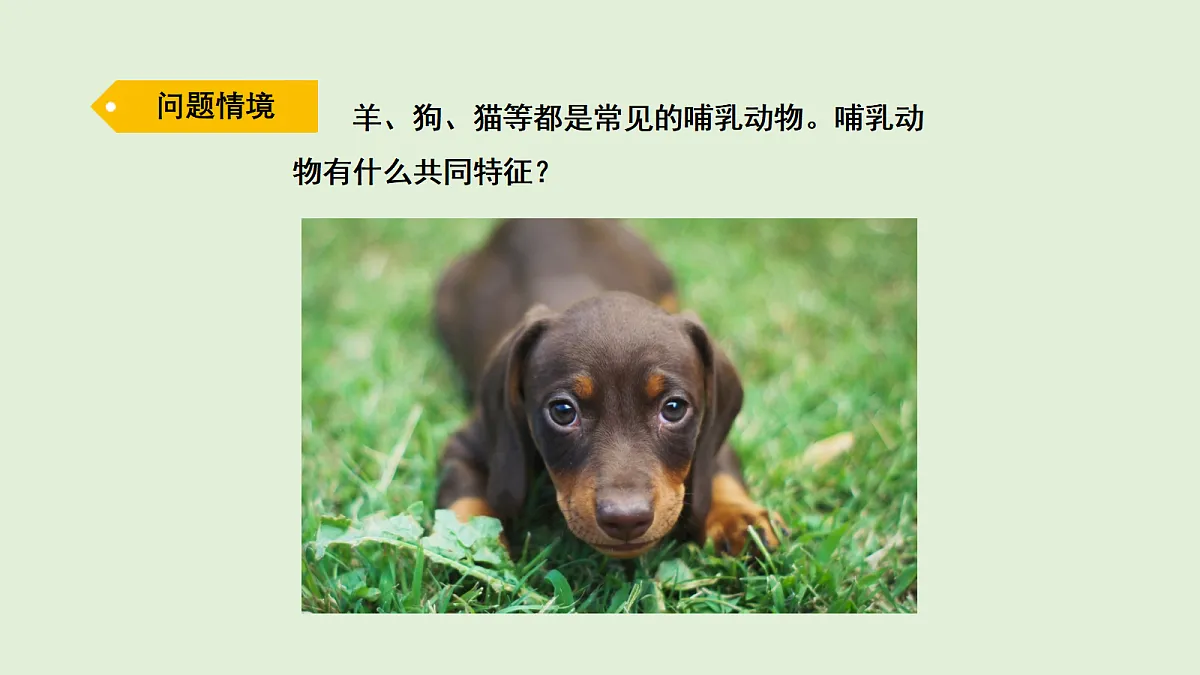 17269874第2页