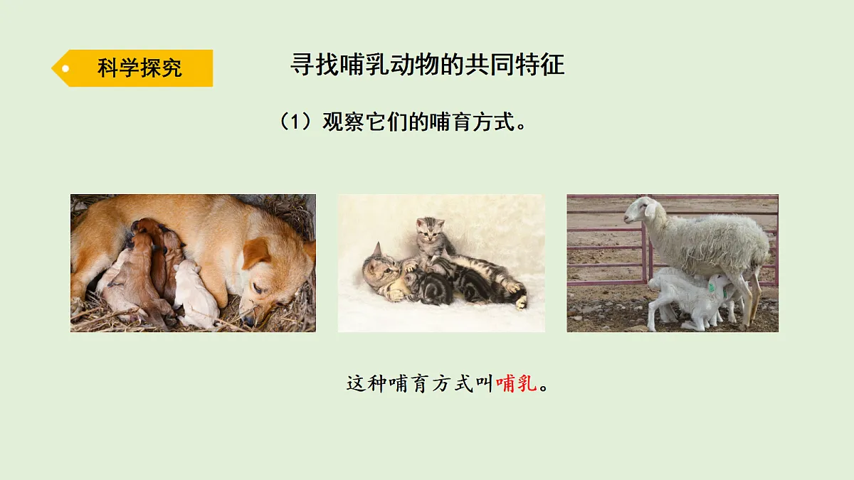 17269874第3页