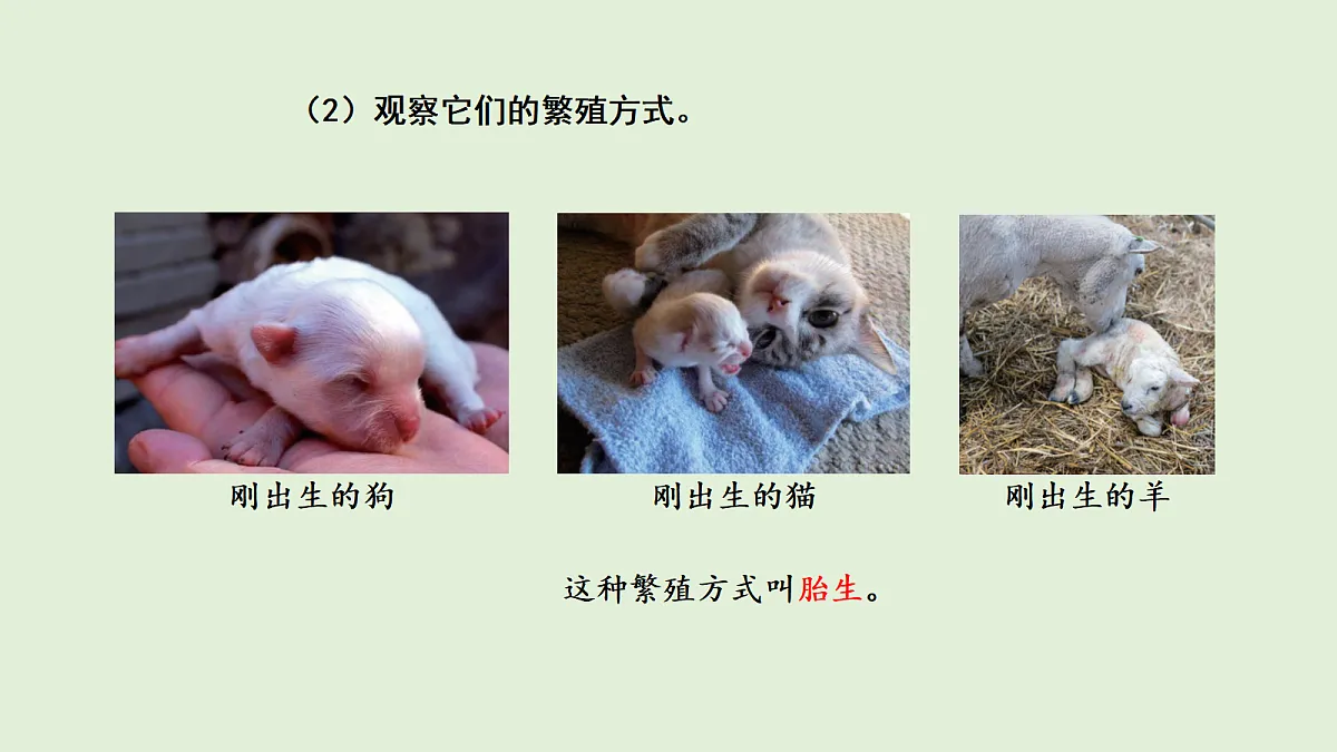 17269874第4页