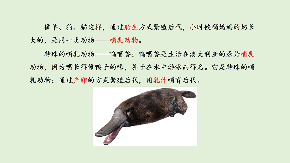 17269874第5页