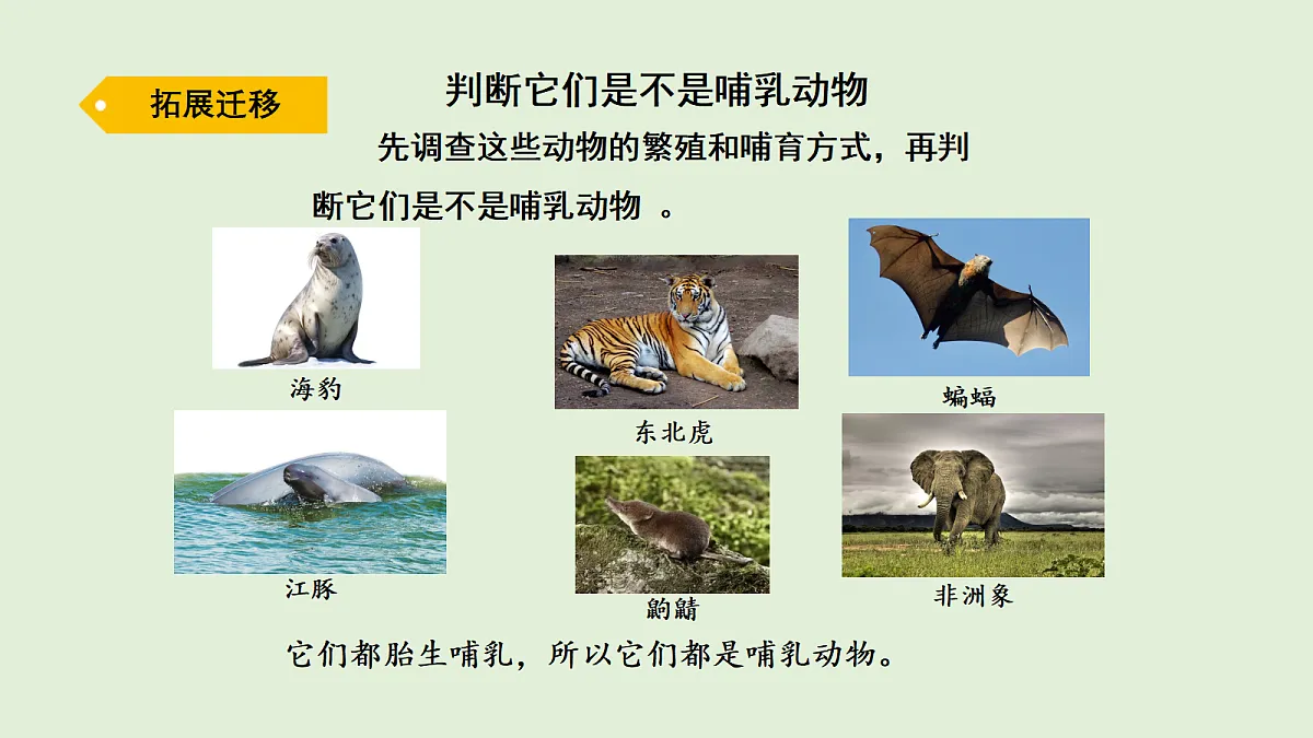 17269874第6页