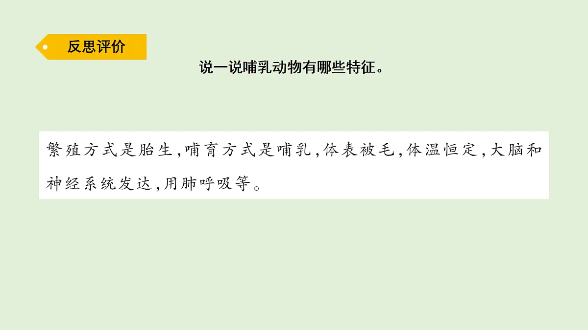 17269874第7页