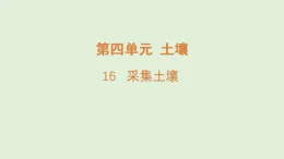 2025年秋湘科版三年級科學(xué)上冊 16.采集土壤（課件）