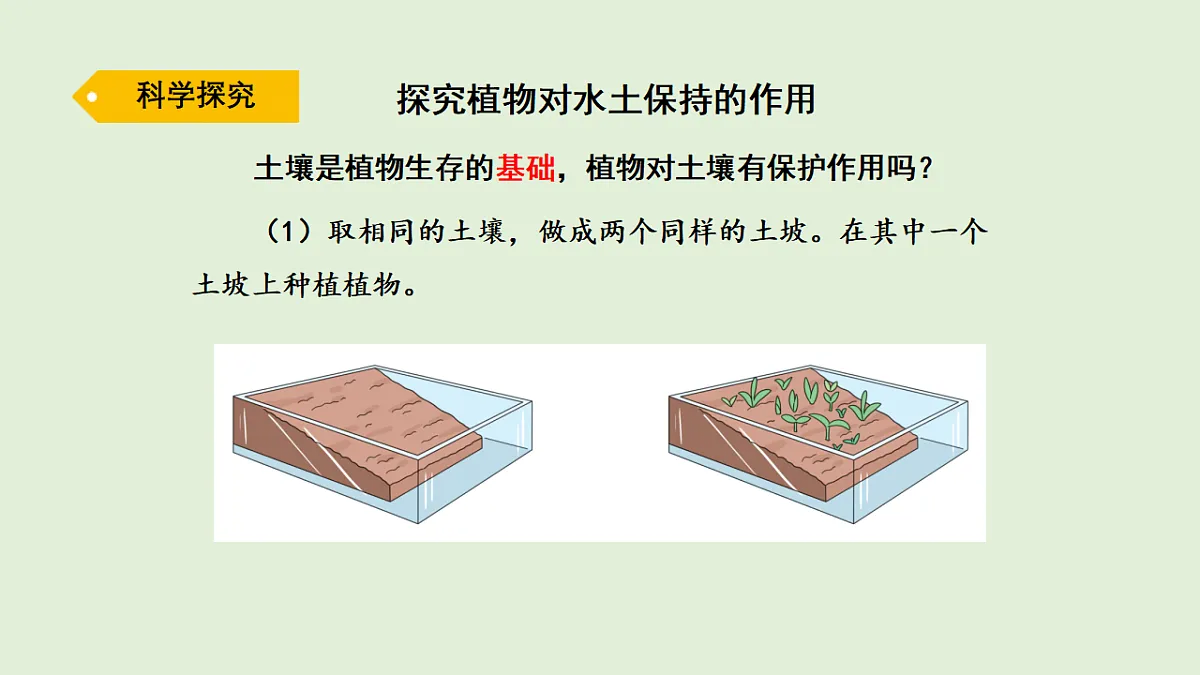 17269879第3页