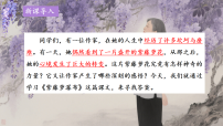 人教部编版（2024）七年级下册（2024）紫藤萝瀑布示范课课件ppt