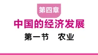 初中地理人教版（2024）八年级上册（2024）第一节 农业习题ppt课件