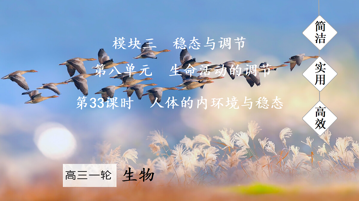 17270162第1页