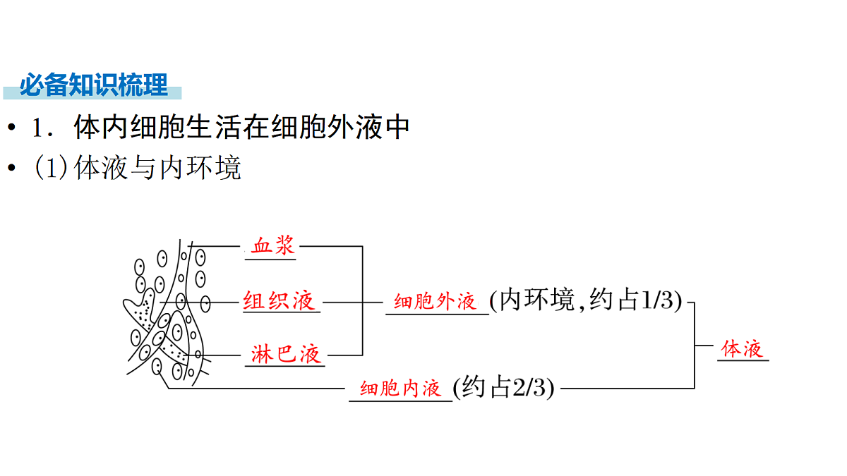 17270162第5页