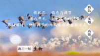 2026届高三生物一轮复习课件 第34课时 神经调节的结构基础和基本方式
