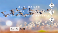 2026届高三生物一轮复习课件 第37课时 激素与内分泌系统、激素调节的过程
