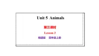 英语四年级上册（2024）Lesson 3图文ppt课件