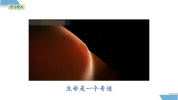 部編版道德與法治（2024）七年級上冊 8.1 認(rèn)識生命 同步課件