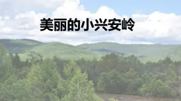 統(tǒng)編版小學(xué)語(yǔ)文三年級(jí)上冊(cè)課件《20 美麗的小興安嶺》