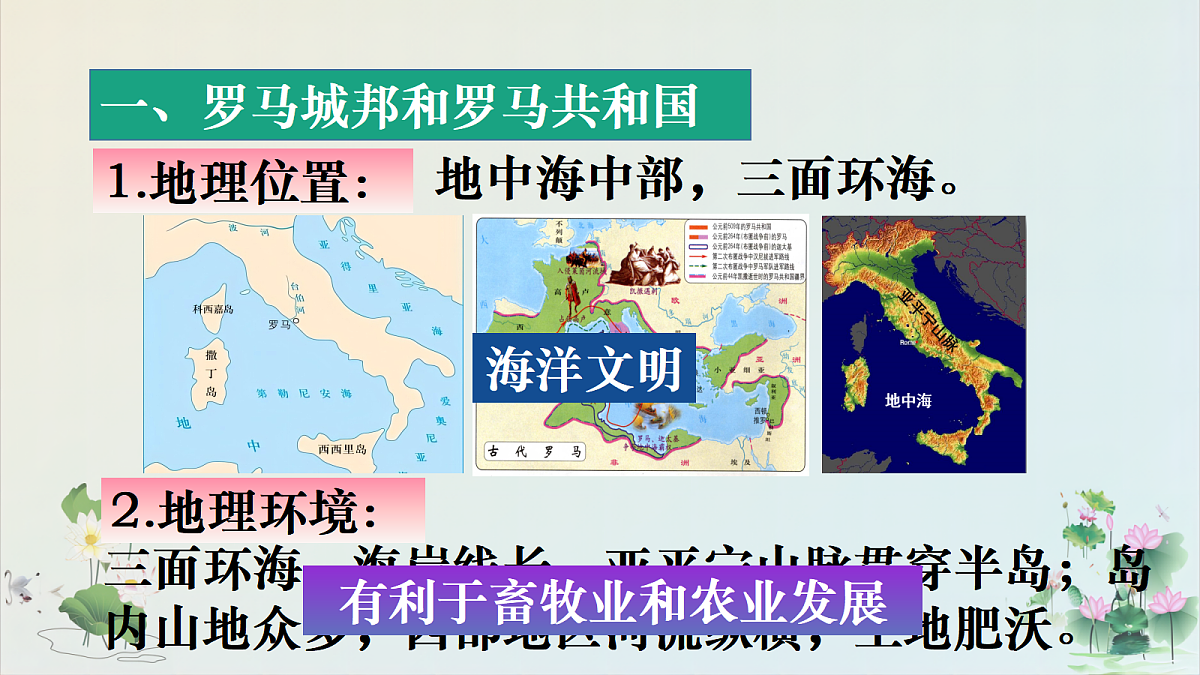 17272671第6页