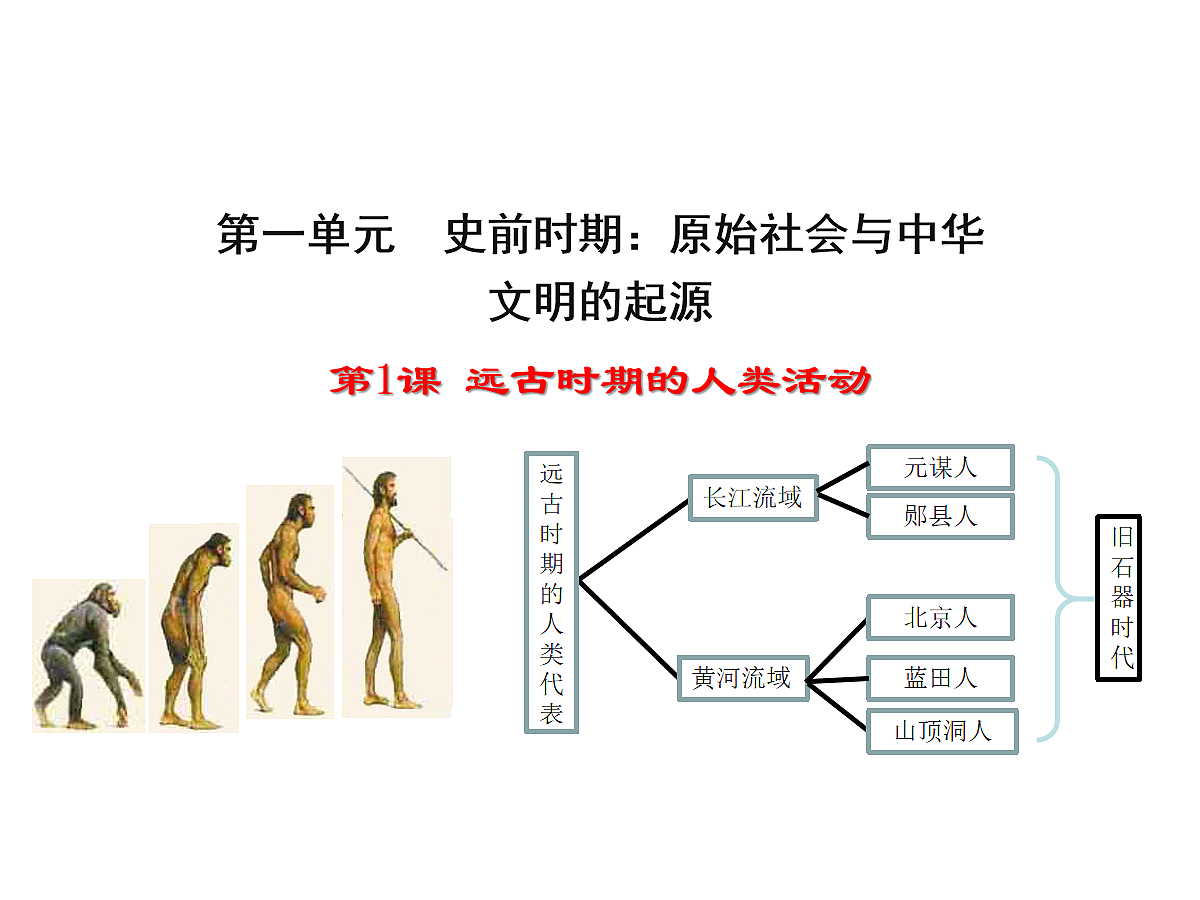 17272675第1页