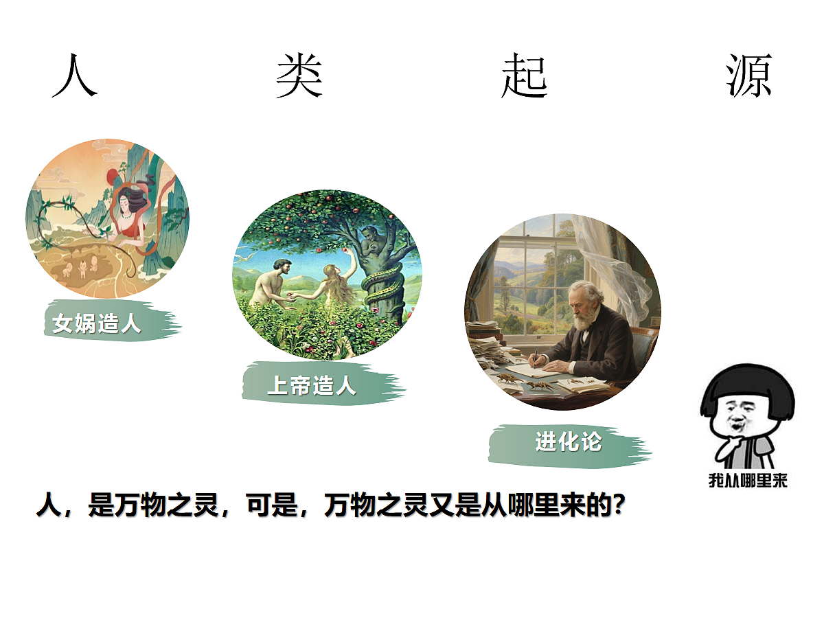 17272675第3页