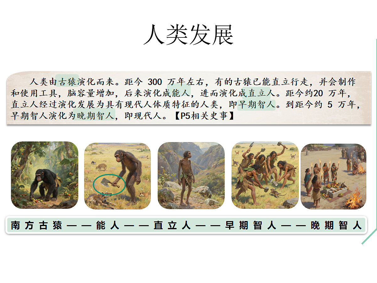 17272675第4页