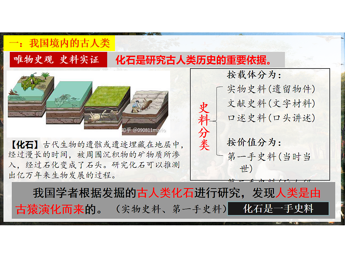 17272675第5页