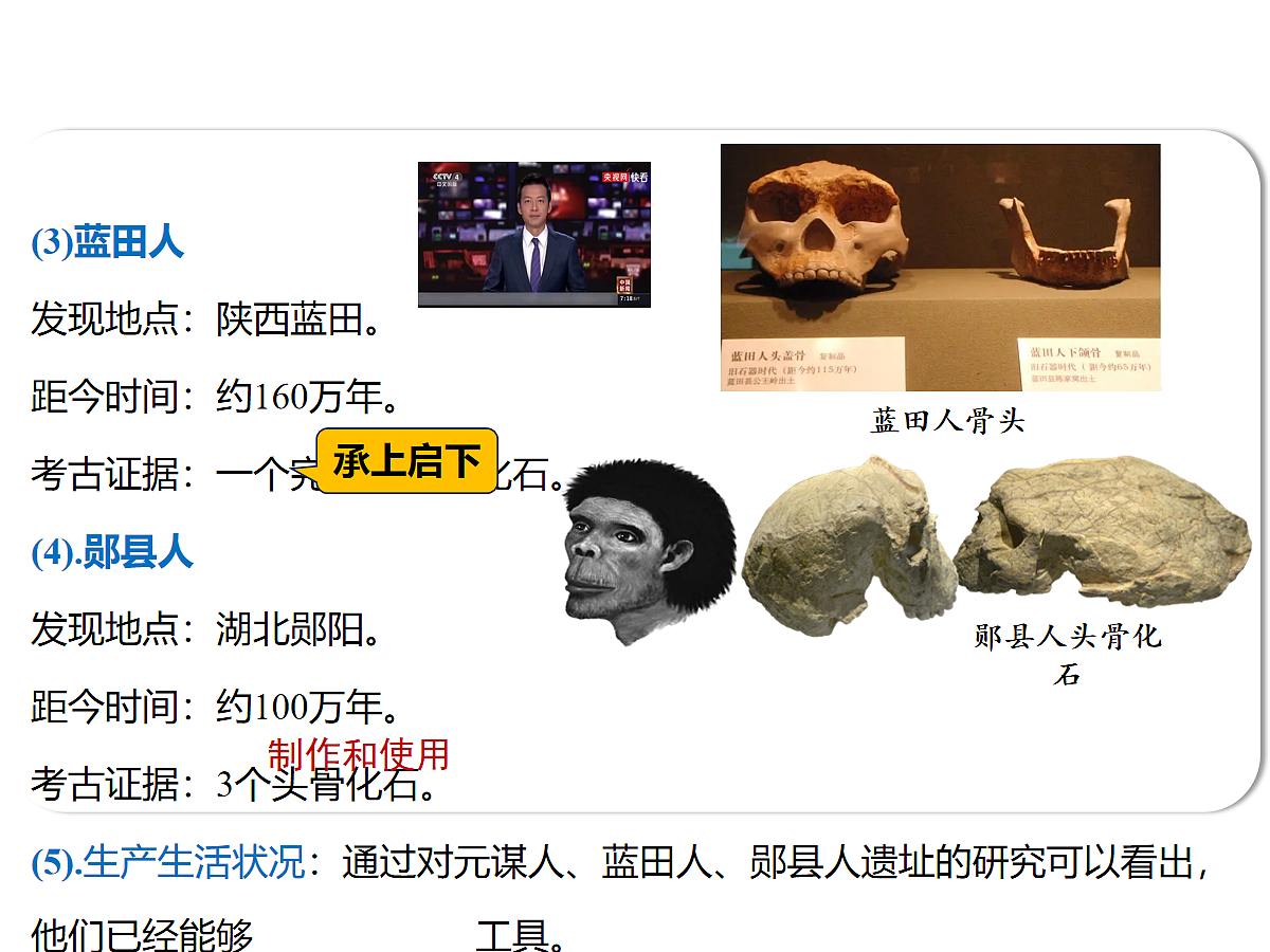 17272675第7页