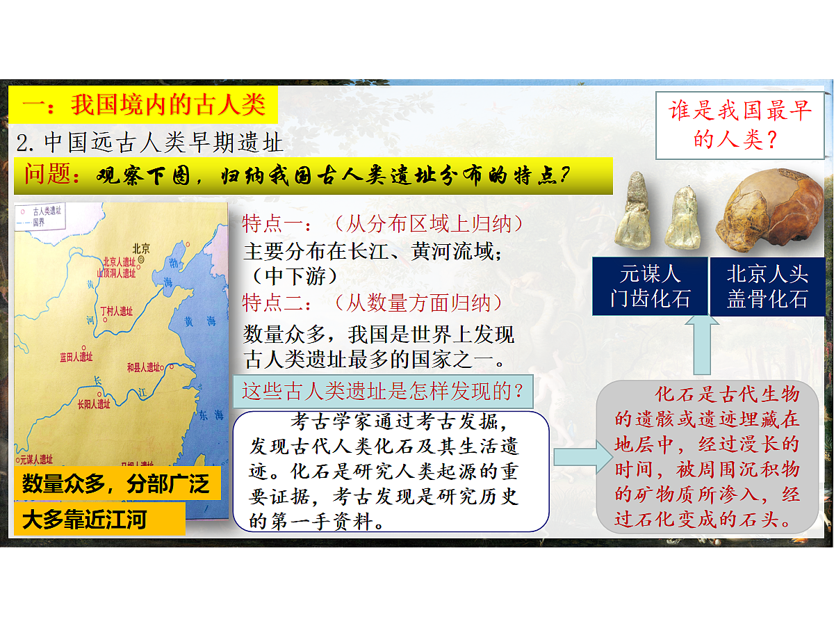 17272675第8页