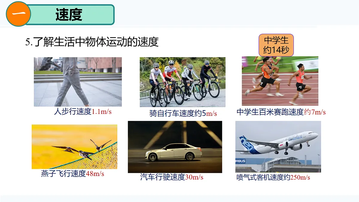 17273530第7页
