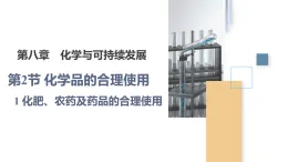 人教版2019高中化學(xué)必修二 8.2化學(xué)品的合理使用課件