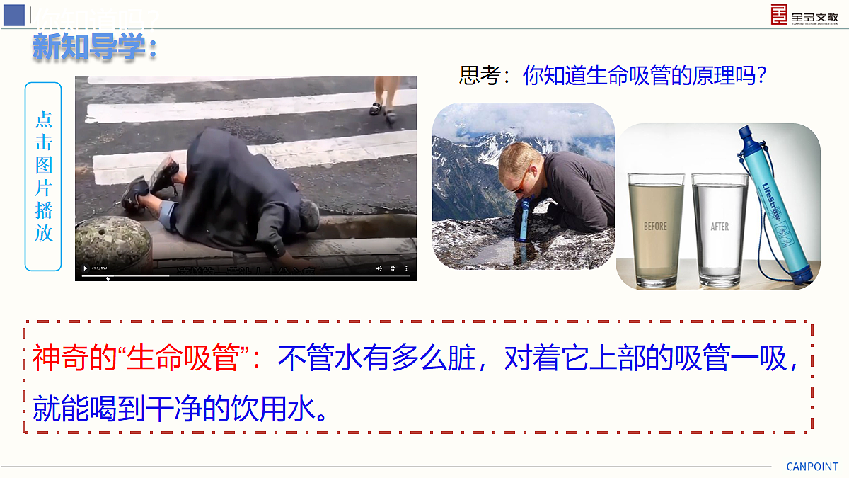 17274122第4页