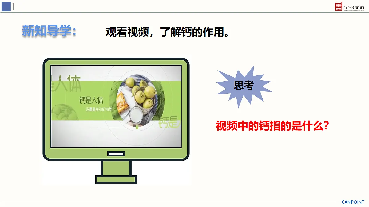 17274131第5页