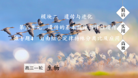 2026届高三生物一轮复习课件 微专题4　自由组合定律特殊分离比及应用