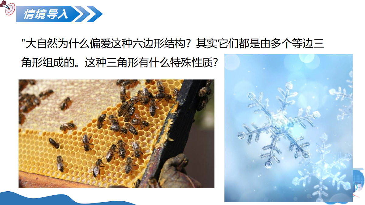 17278294第5页