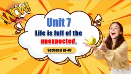 Unit 7 第3課時(shí) (Section A Grammar-4c)（教學(xué)課件）-2025-2026學(xué)年九年級(jí)英語全一冊(cè)（魯教版五四學(xué)制）