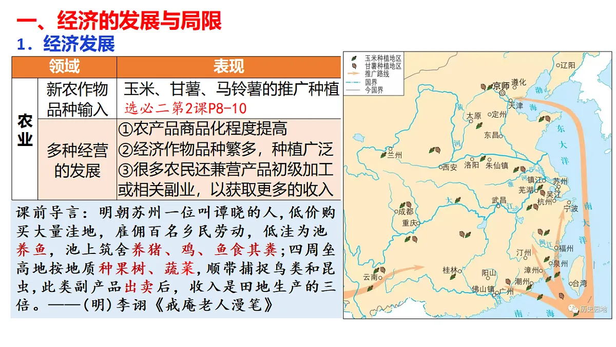 17278533第3页