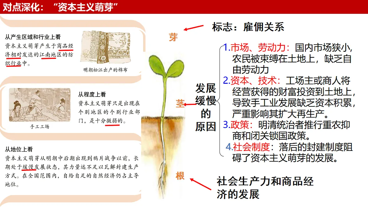17278533第5页