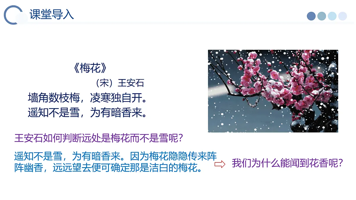 17278672第2页
