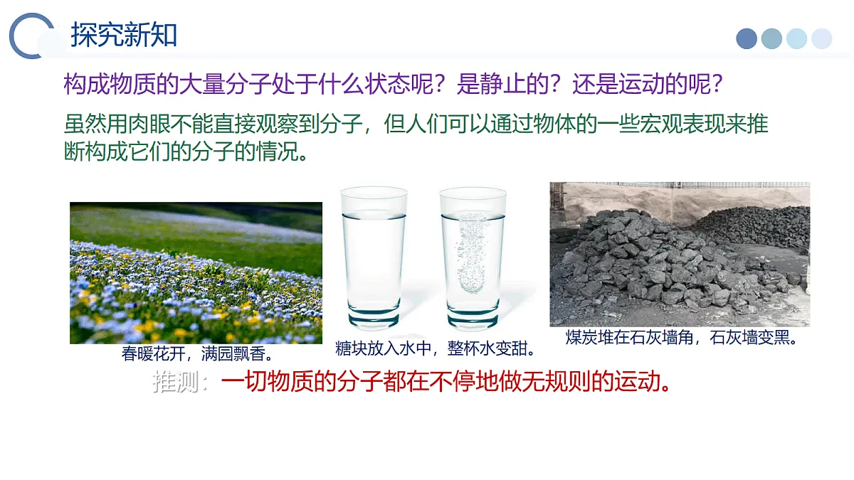 17278672第8页