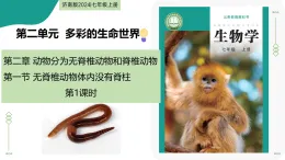2.2.1 无脊椎动物体内没有脊柱 第1课时（教学课件）-2025-2026学年七年级生物上册（济南版2024）