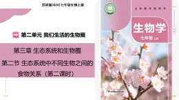 3.2 生態(tài)系統(tǒng)中不同生物之間的食物關(guān)系 第2課時(shí)（教學(xué)課件）-2025-2026學(xué)年七年級(jí)生物上冊(cè)（蘇科版2024）