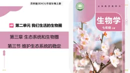 3.3 維護(hù)生態(tài)系統(tǒng)的穩(wěn)定（教學(xué)課件）-2025-2026學(xué)年七年級(jí)生物上冊(cè)（蘇科版2024）