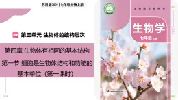 4.1 細(xì)胞是生物體結(jié)構(gòu)和功能的基本單位 第1課時(shí)（教學(xué)課件）-2025-2026學(xué)年七年級(jí)生物上冊(cè)（蘇科版2024）