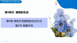 4.5 蒸騰作用 （教學(xué)課件）-2025-2026學(xué)年七年級生物上冊（北師大版2024）