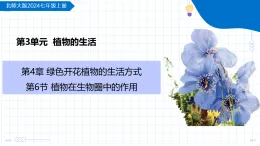 4.6 植物在生物圈中的作用 （教學(xué)課件）-2025-2026學(xué)年七年級生物上冊（北師大版2024）
