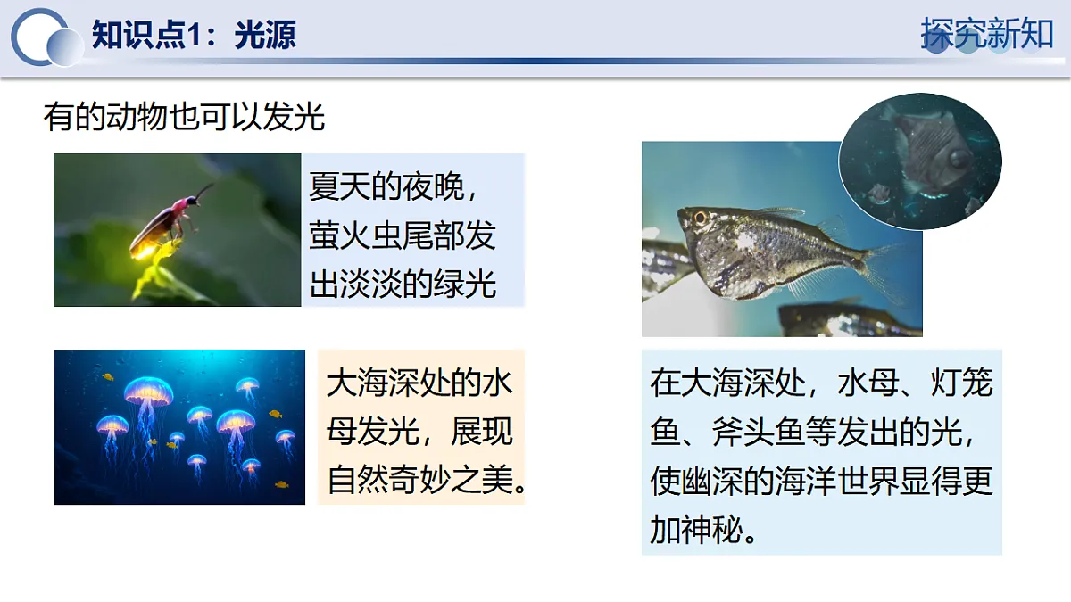17278709第8页