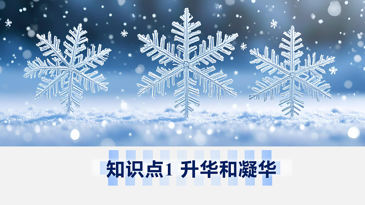 17278713第7页