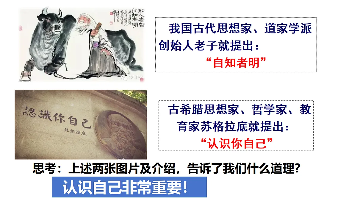 17279796第7页