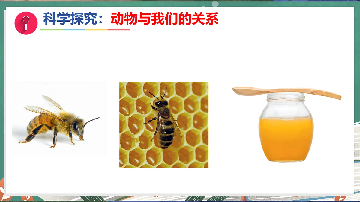 17281108第6页