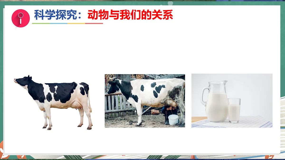 17281108第7页