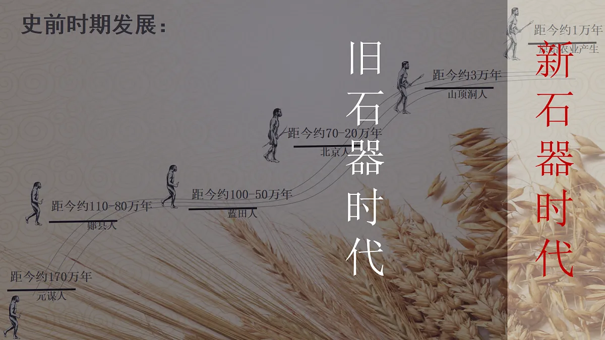 17281706第3页