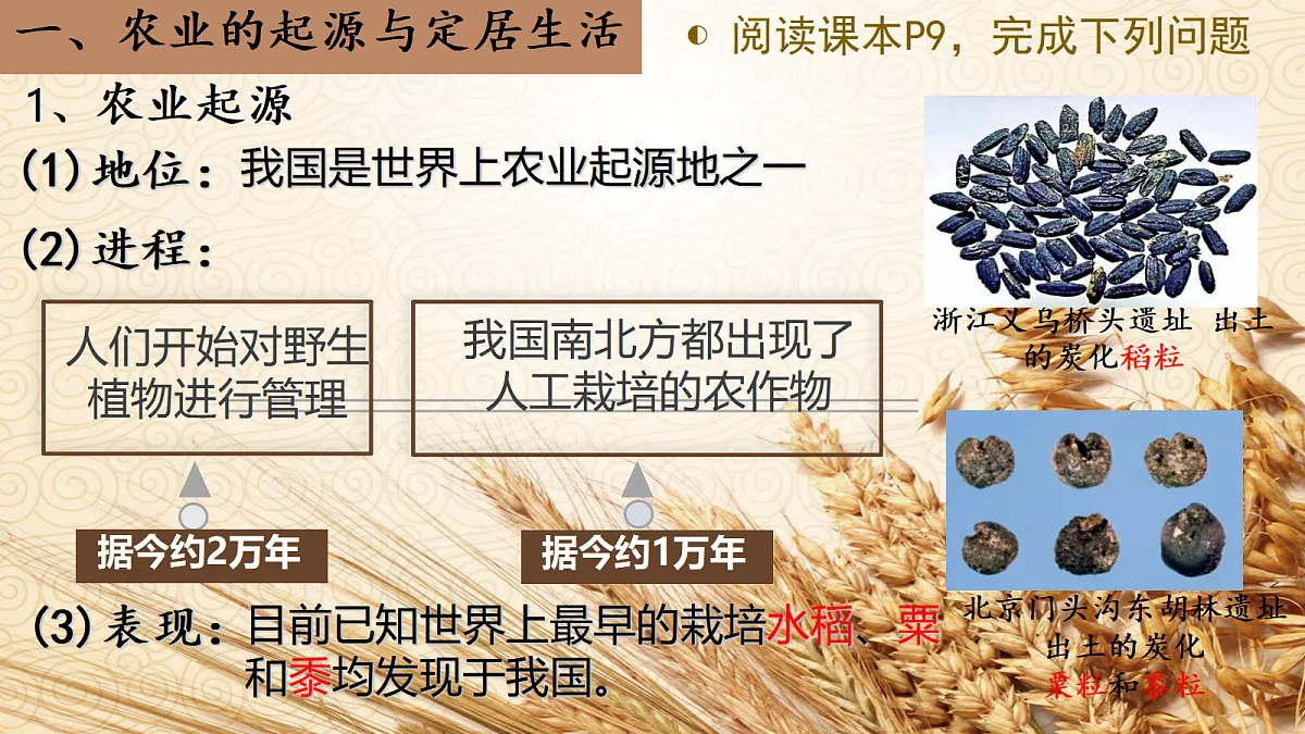 17281706第5页