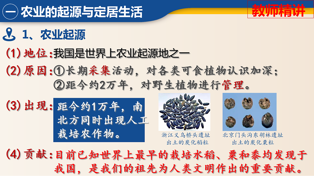 17281707第3页